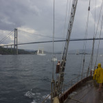 Wyvern_Tall Ships Bergen 2014 (Foto_Kjersti Monsen) 252